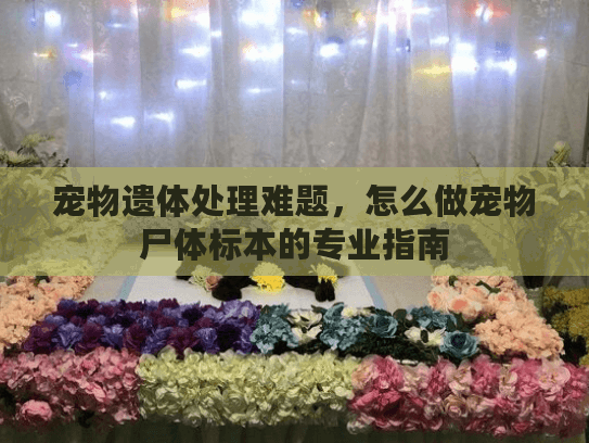宠物遗体处理难题,怎么做宠物尸体标本的专业指南 宠物遗体处理难题,怎么做宠物尸体标本的专业指南