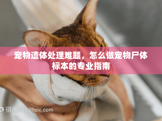 宠物遗体处理难题,怎么做宠物尸体标本的专业指南 宠物遗体处理难题,怎么做宠物尸体标本的专业指南