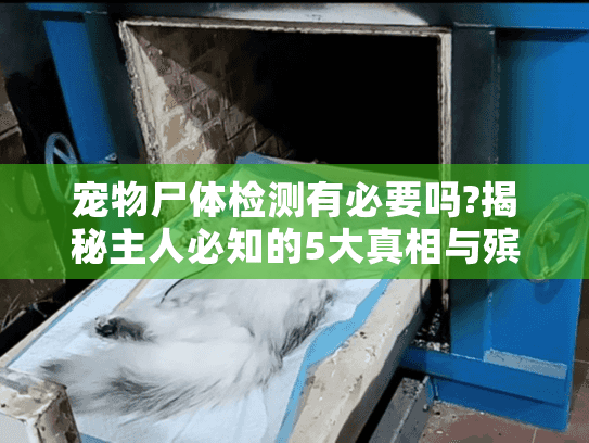 宠物尸体检测有必要吗?揭秘主人必知的5大真相与殡葬决策指南