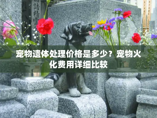 宠物遗体处理价格是多少？宠物火化费用详细比较