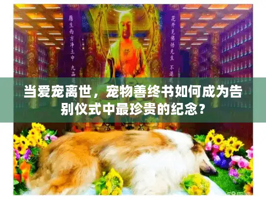 当爱宠离世，宠物善终书如何成为告别仪式中最珍贵的纪念？