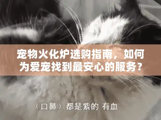宠物火化炉选购指南,如何为爱宠找到最安心的服务? 宠物火化炉选购指南,如何为爱宠找到最安心的服务?