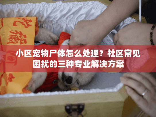 小区宠物尸体怎么处理？社区常见困扰的三种专业解决方案