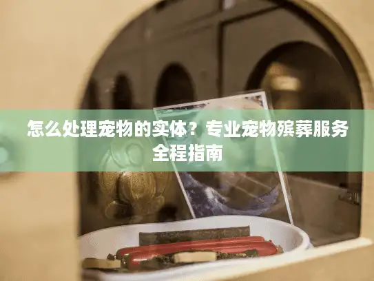 怎么处理宠物的实体？专业宠物殡葬服务全程指南