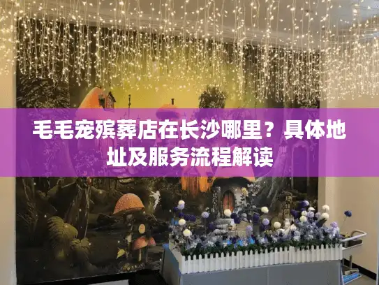 毛毛宠殡葬店在长沙哪里？具体地址及服务流程解读