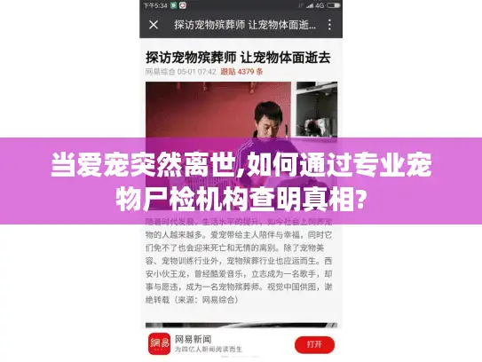 当爱宠突然离世,如何通过专业宠物尸检机构查明真相?