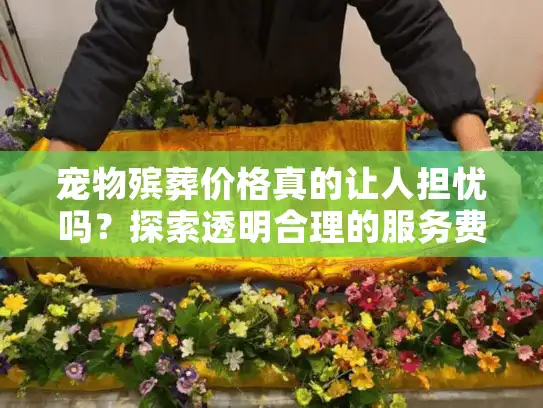宠物殡葬价格真的让人担忧吗？探索透明合理的服务费用