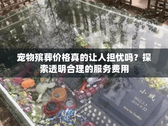 宠物殡葬价格真的让人担忧吗？探索透明合理的服务费用