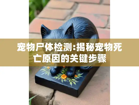宠物尸体检测:揭秘宠物死亡原因的关键步骤