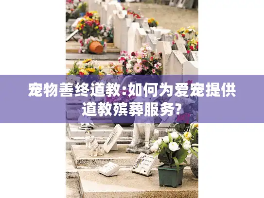 宠物善终道教:如何为爱宠提供道教殡葬服务?