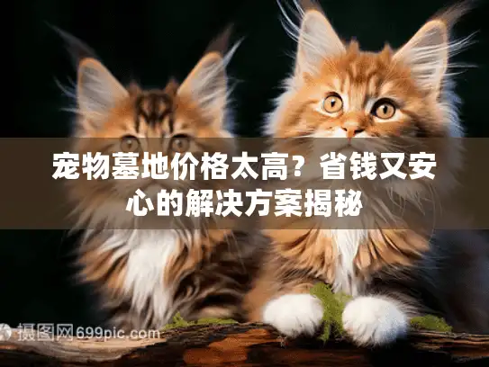 宠物墓地价格太高？省钱又安心的解决方案揭秘