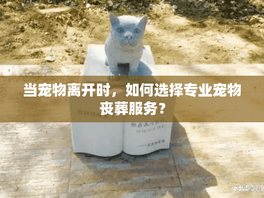 当宠物离开时,如何选择专业宠物丧葬服务? 当宠物离开时,如何选择专业宠物丧葬服务?