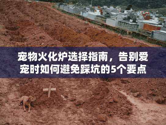 宠物火化炉选择指南，告别爱宠时如何避免踩坑的5个要点