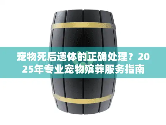 宠物死后遗体的正确处理？2025年专业宠物殡葬服务指南