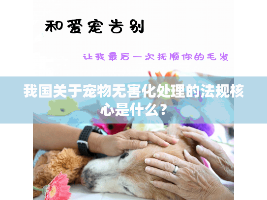 我国关于宠物无害化处理的法规核心是什么？