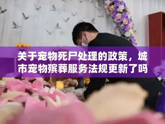 关于宠物死尸处理的政策,城市宠物殡葬服务法规更新了吗? 关于宠物死尸处理的政策,城市宠物殡葬服务法规更新了吗?