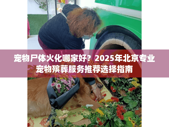 宠物尸体火化哪家好？2025年北京专业宠物殡葬服务推荐选择指南