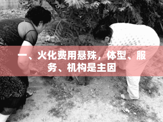 一、火化费用悬殊，体型、服务、机构是主因