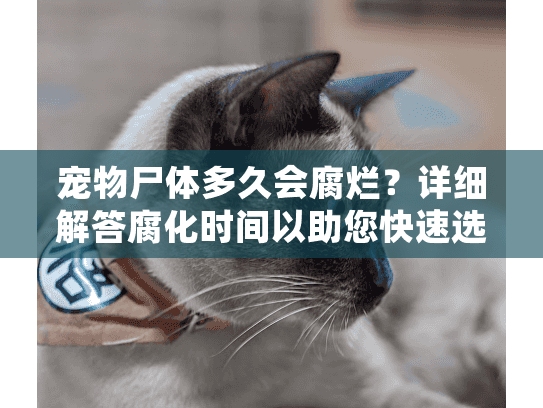 宠物尸体多久会腐烂?详细解答腐化时间以助您快速选择殡葬服务 宠物尸体多久会腐烂?详细解答腐化时间以助您快速选择殡葬服务