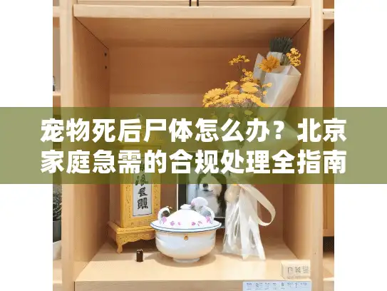 宠物死后尸体怎么办？北京家庭急需的合规处理全指南