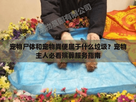 宠物尸体和宠物粪便属于什么垃圾？宠物主人必看殡葬服务指南