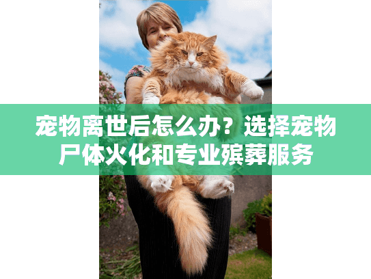 宠物离世后怎么办?选择宠物尸体火化和专业殡葬服务 宠物离世后怎么办?选择宠物尸体火化和专业殡葬服务