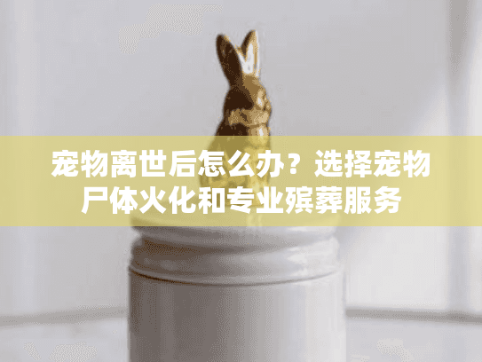 宠物离世后怎么办?选择宠物尸体火化和专业殡葬服务 宠物离世后怎么办?选择宠物尸体火化和专业殡葬服务