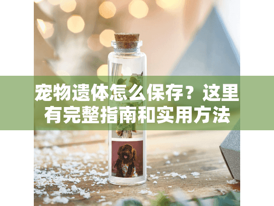 宠物遗体怎么保存?这里有完整指南和实用方法 宠物遗体怎么保存?这里有完整指南和实用方法