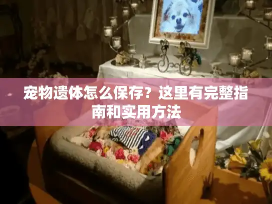 宠物遗体怎么保存?这里有完整指南和实用方法 宠物遗体怎么保存?这里有完整指南和实用方法