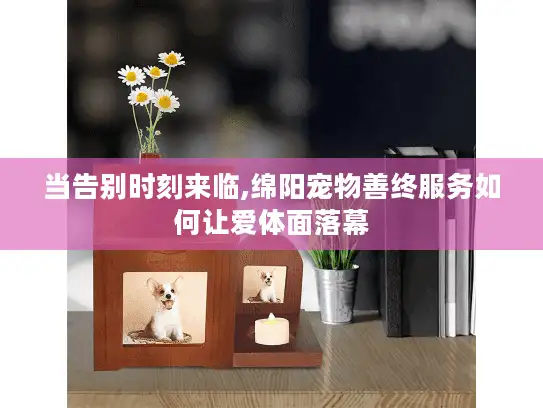 当告别时刻来临,绵阳宠物善终服务如何让爱体面落幕