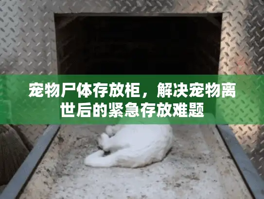 宠物尸体存放柜,解决宠物离世后的紧急存放难题 宠物尸体存放柜,解决宠物离世后的紧急存放难题