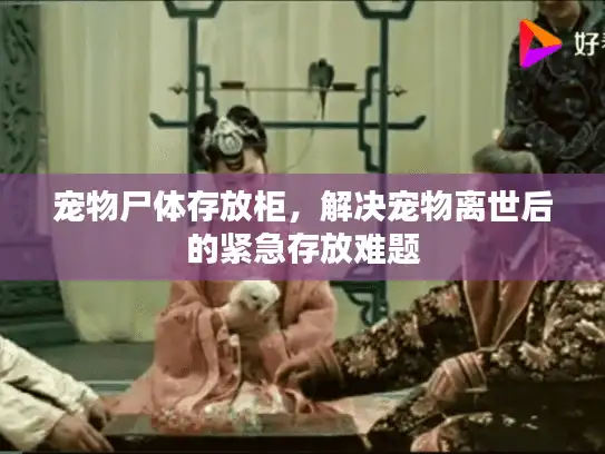 宠物尸体存放柜,解决宠物离世后的紧急存放难题 宠物尸体存放柜,解决宠物离世后的紧急存放难题