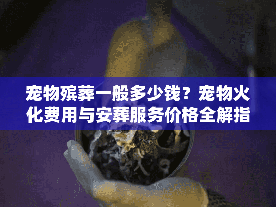 宠物殡葬一般多少钱？宠物火化费用与安葬服务价格全解指南
