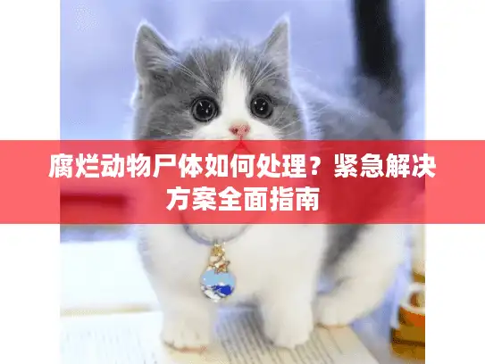 腐烂动物尸体如何处理？紧急解决方案全面指南