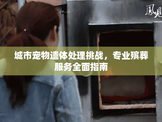 城市宠物遗体处理挑战，专业殡葬服务全面指南