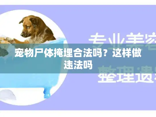 宠物尸体掩埋合法吗？这样做违法吗