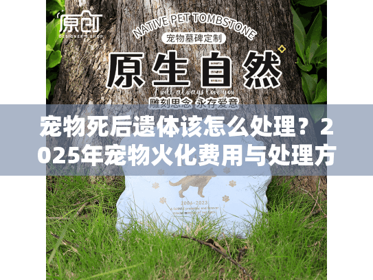 宠物死后遗体该怎么处理？2025年宠物火化费用与处理方式全解析