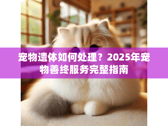 宠物遗体如何处理？2025年宠物善终服务完整指南