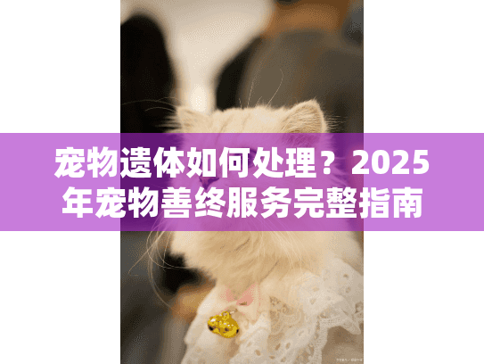 宠物遗体如何处理？2025年宠物善终服务完整指南