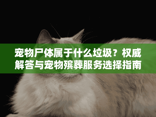 宠物尸体属于什么垃圾？权威解答与宠物殡葬服务选择指南
