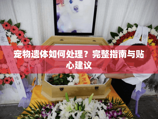 宠物遗体如何处理?完整指南与贴心建议 宠物遗体如何处理?完整指南与贴心建议