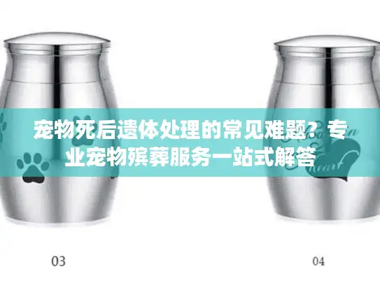 宠物死后遗体处理的常见难题？专业宠物殡葬服务一站式解答