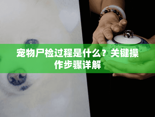 宠物尸检过程是什么?关键操作步骤详解 宠物尸检过程是什么?关键操作步骤详解