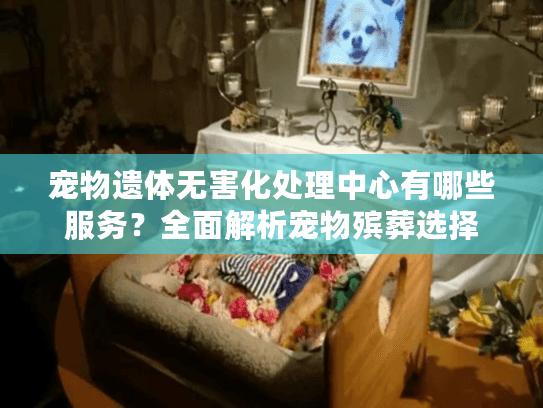 宠物遗体无害化处理中心有哪些服务？全面解析宠物殡葬选择