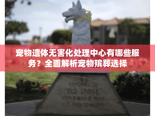 宠物遗体无害化处理中心有哪些服务？全面解析宠物殡葬选择