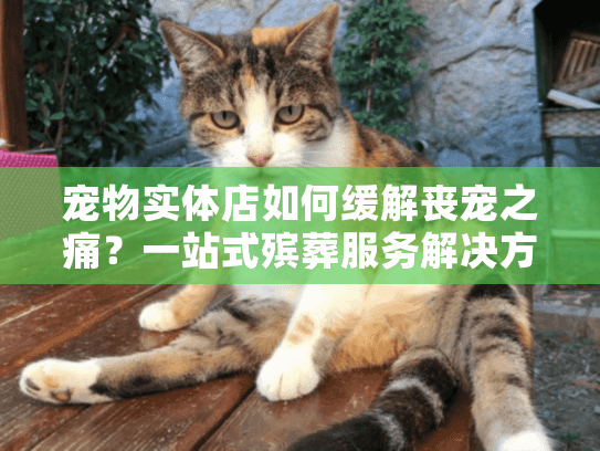 宠物实体店如何缓解丧宠之痛?一站式殡葬服务解决方案 宠物实体店如何缓解丧宠之痛?一站式殡葬服务解决方案