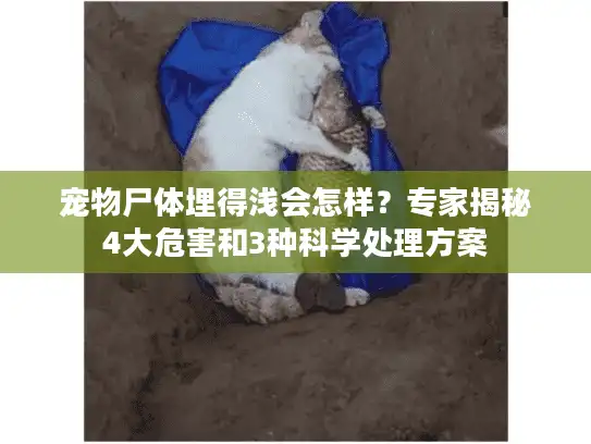 宠物尸体埋得浅会怎样？专家揭秘4大危害和3种科学处理方案