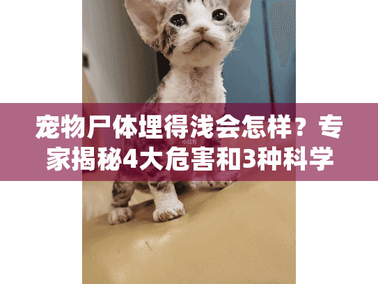 宠物尸体埋得浅会怎样？专家揭秘4大危害和3种科学处理方案