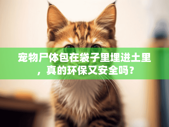 宠物尸体包在袋子里埋进土里，真的环保又安全吗？
