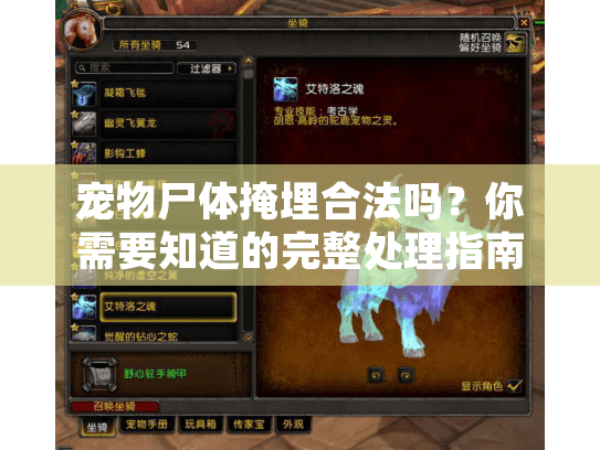 宠物尸体掩埋合法吗？你需要知道的完整处理指南和步骤